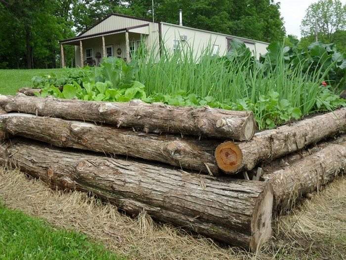 tronchi-per-coltivare-verdure