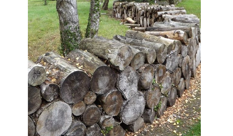 recinzione-giardino di tronchi