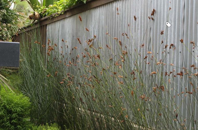 recinzione-giardino-galvanizzata