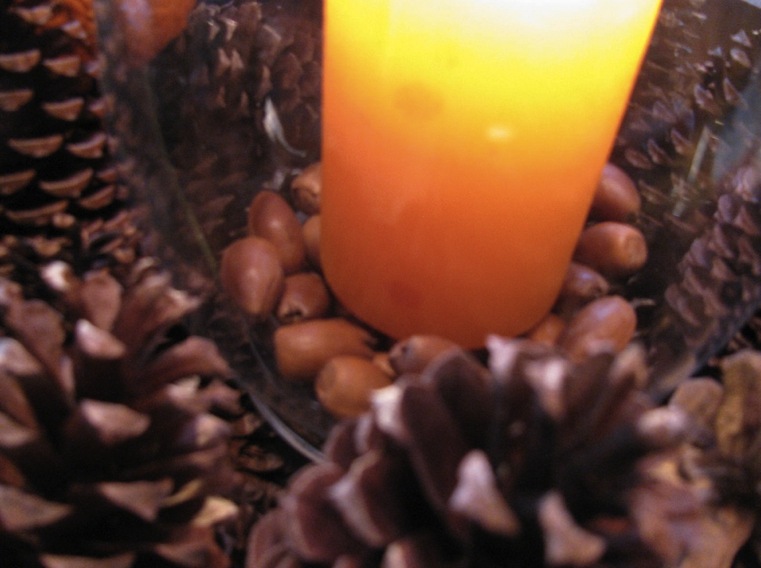 Deco-tavolo-dautomne-ciotola-in-legno-con-candela3