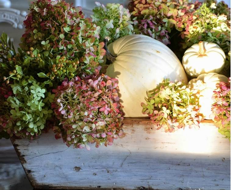 autunno-in-tavola-ortensie-e-zucche