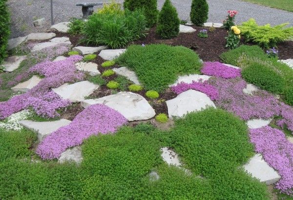originalios sodo dekoracijos violetinės gėlės