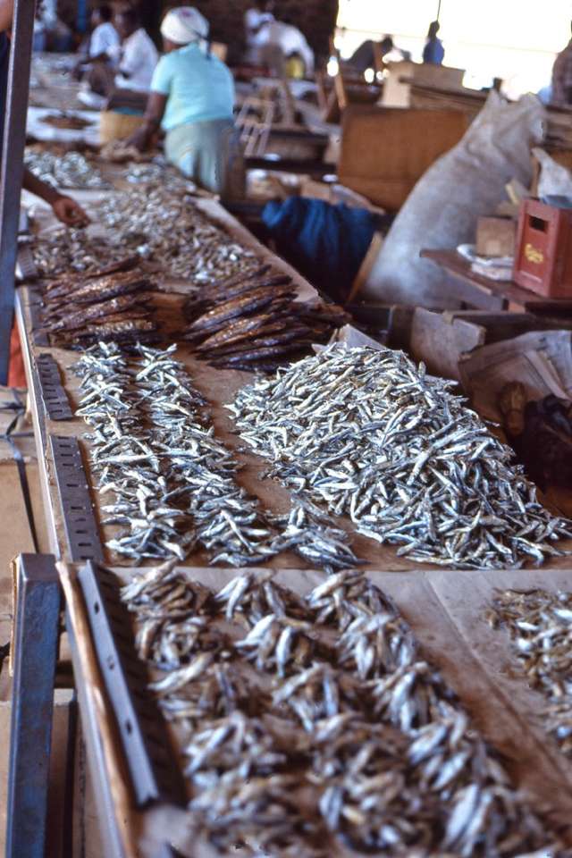 マリの魚市場