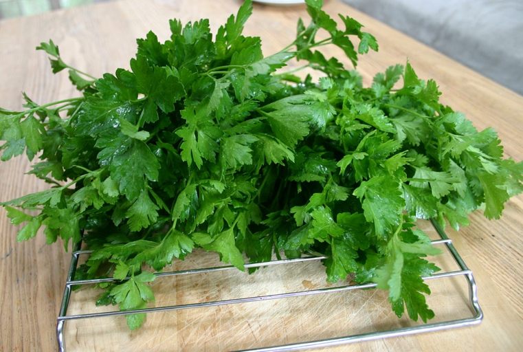 piante-da-interno-prezzemolo-in-cucina