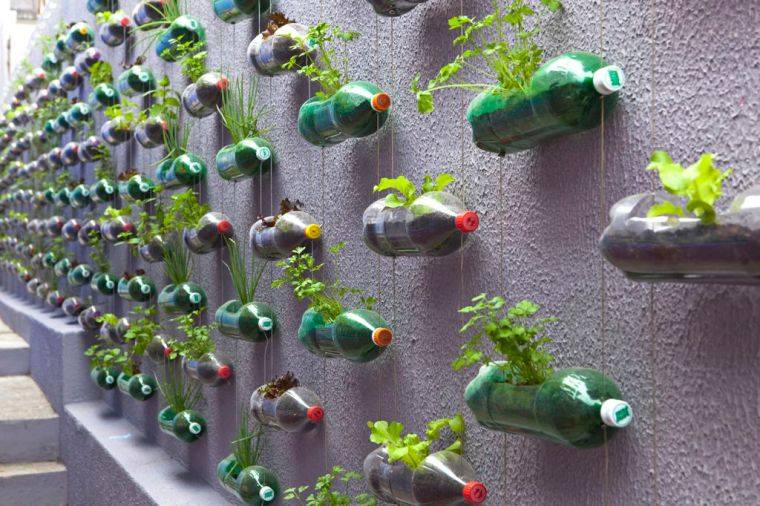 cosa-si-fare-con-una-bottiglia-di-plastica-verticale-da-giardino?