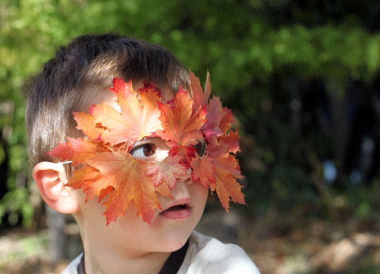 rankinė veikla ant lengvo rudens-vaiko-idėjos-negyvo lapo