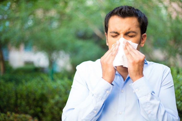 padidėjęs alergijos žiedadulkėms pavojingas oras