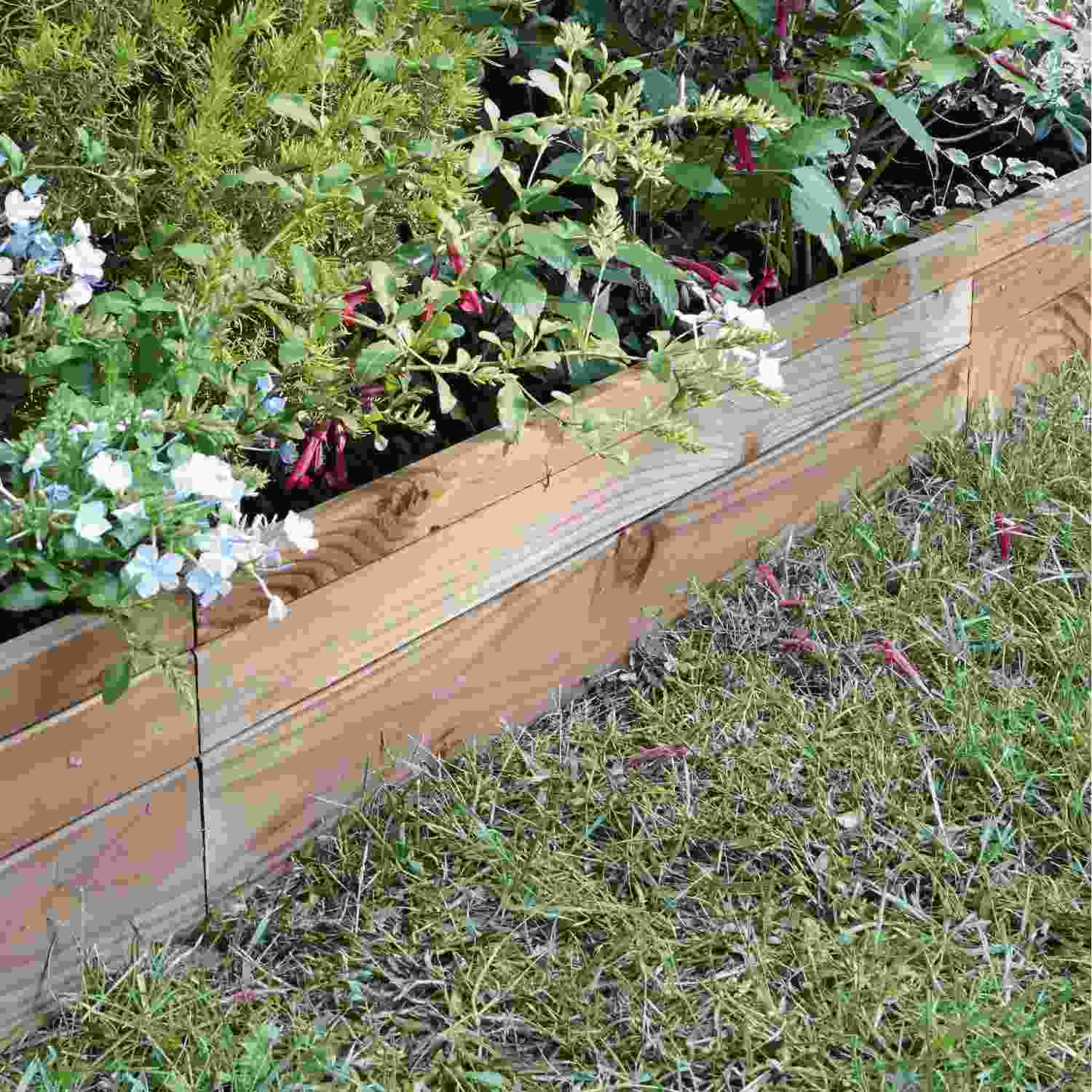 bordo del giardino in legno paesaggistico spazio esterno alla moda