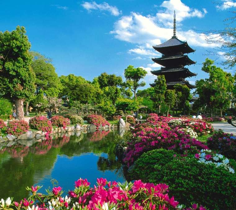 Giardino paesaggistico in stile giapponese