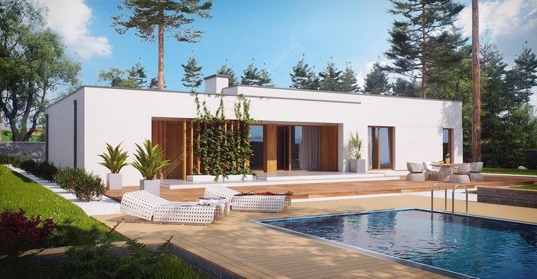 Casa di design moderna della poltrona da giardino della piscina paesaggistica