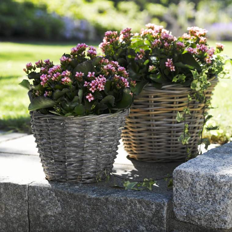 mediterrán-szabadtéri-kert-ötlet-kalanchoe-virágcserép