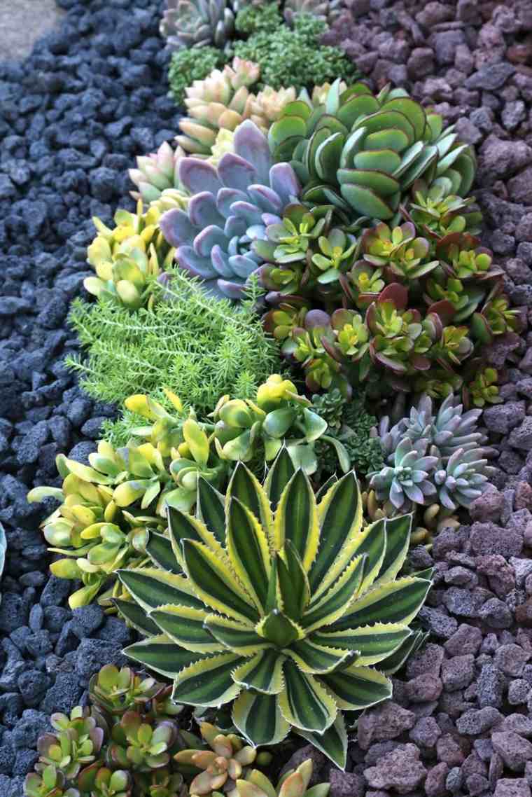 giardino-paesaggio-mediterraneo-pianta-navata-deco-piante-succulente