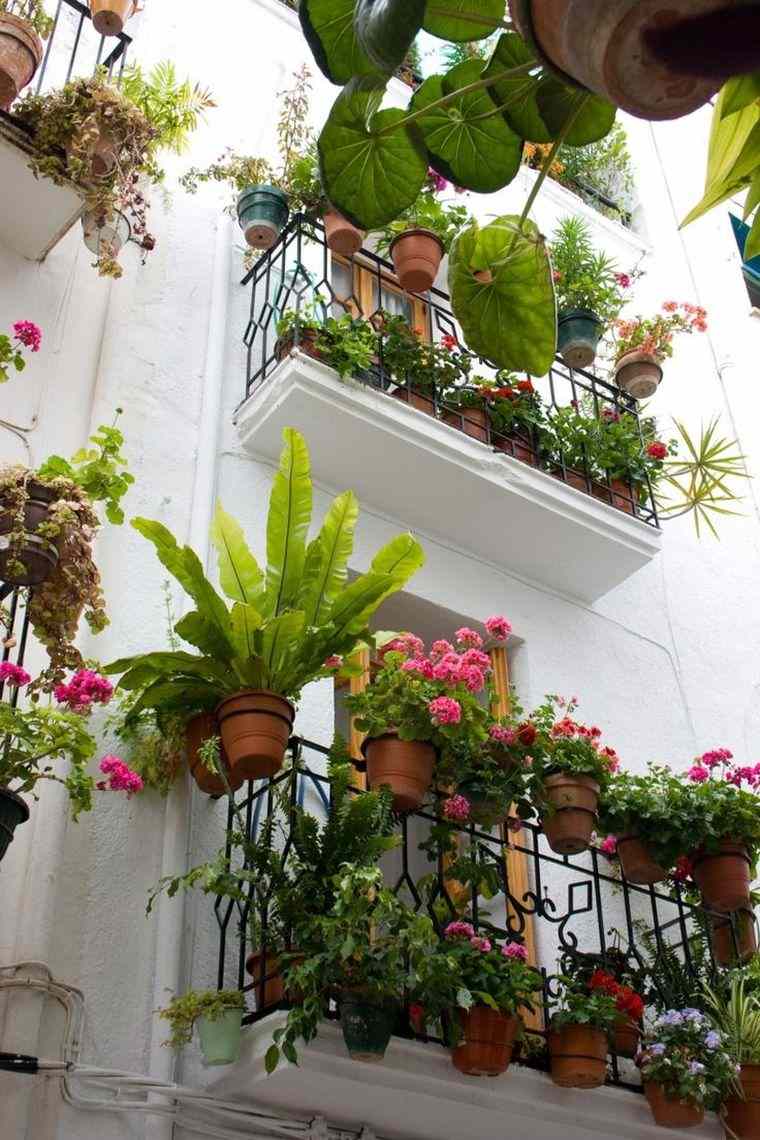 piccole piante da balcone
