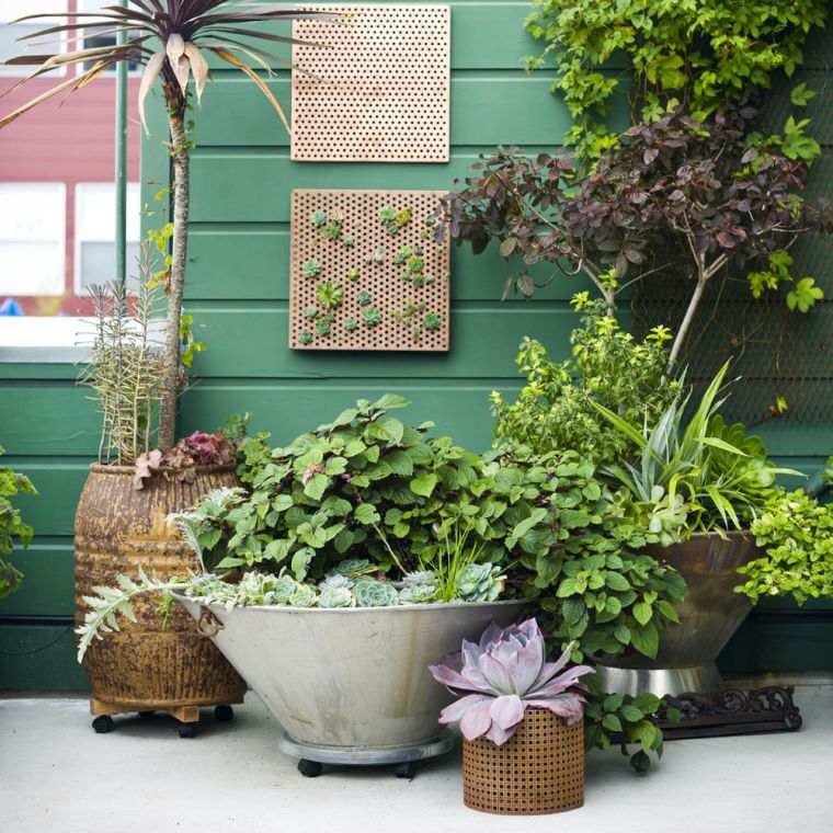 小さな庭の造園-植木鉢-植物の壁
