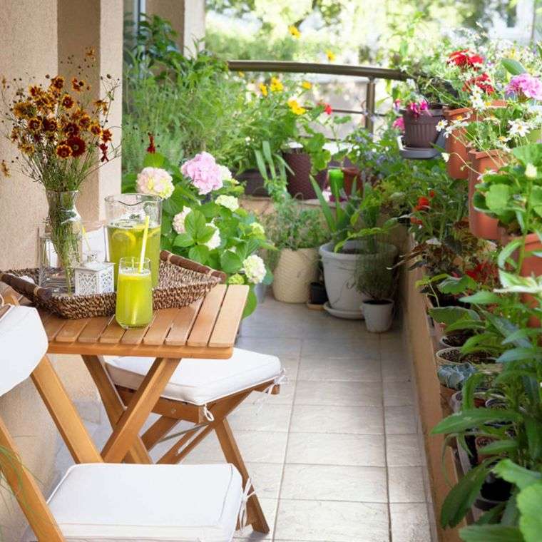 piccolo patio con piante verdi