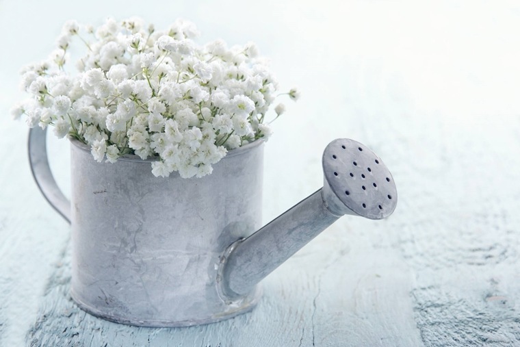 decora il tuo balcone - annaffiatoio vaso di fiori