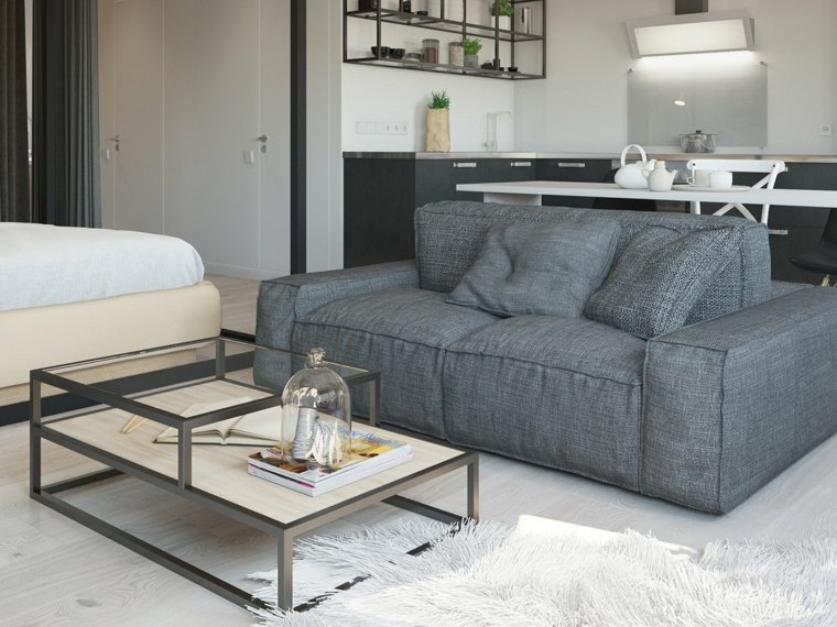 sofos idėja gyvenamasis kambarys mažas butas