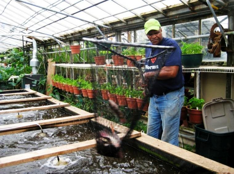 aquaponics férfi fekete háló