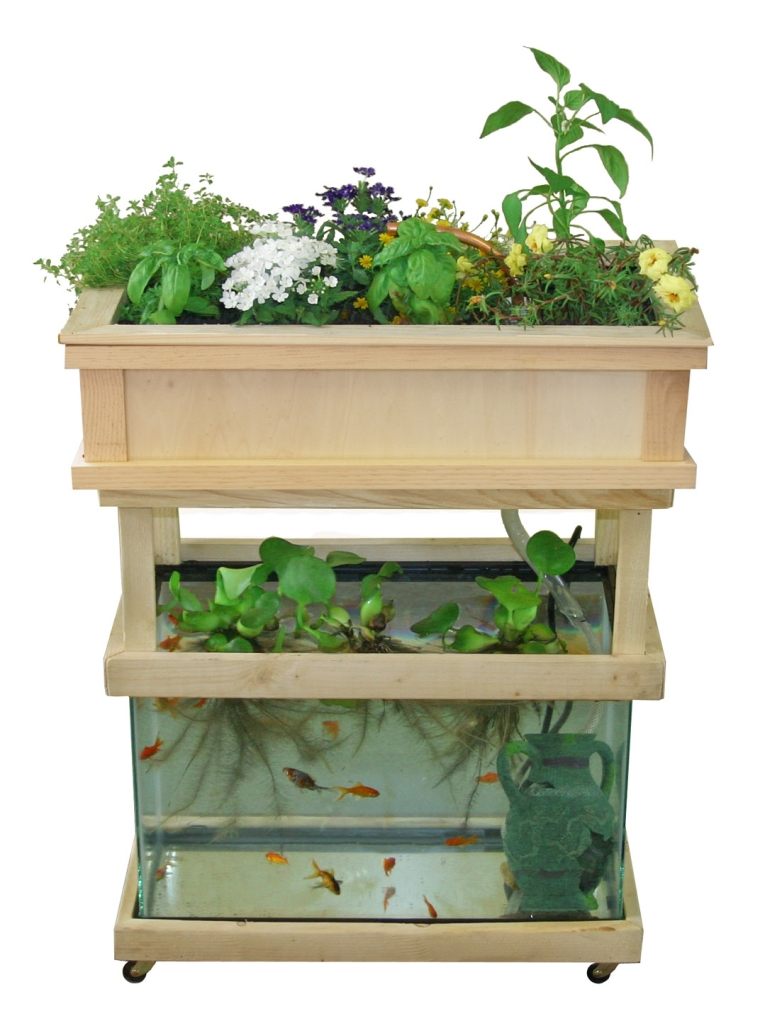 aquaponics rendszer tartályok