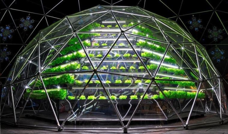 geode dome aeroponics