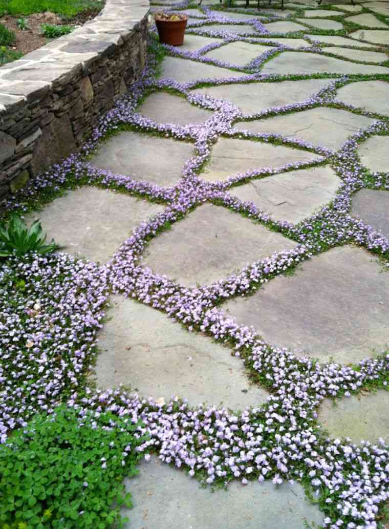 consigli facili per la manutenzione del giardino paesaggistica esterna