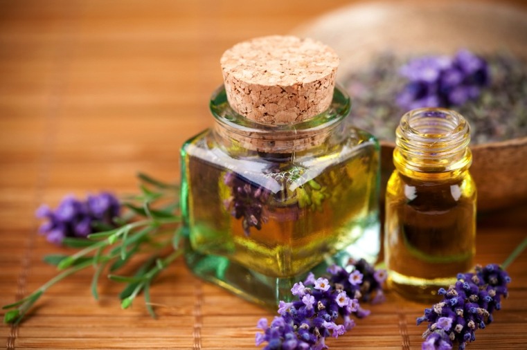 piante contro le zanzare olio di lavanda