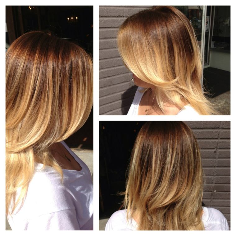 Balayage ombre plava kosa dva profila unatrag