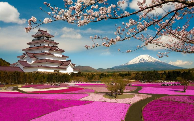 monte-fuji-ile-honshu-japan