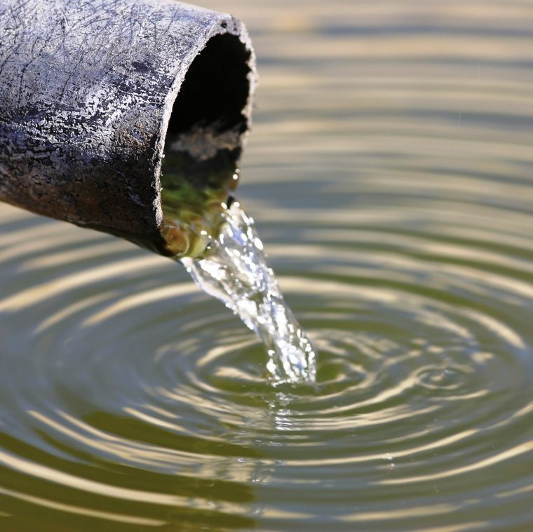 bere acqua per dimagrire rispetta la natura