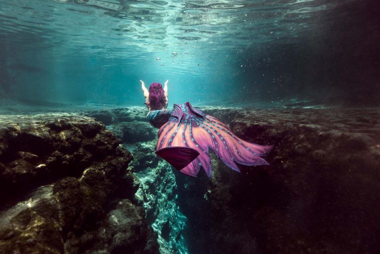 víz alatti fotó brett stanley interjú