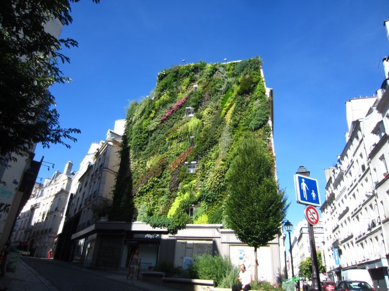 パリのエレガントな緑の建物