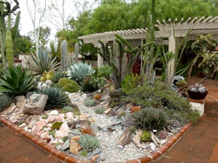 piante di cactus da giardino minimaliste