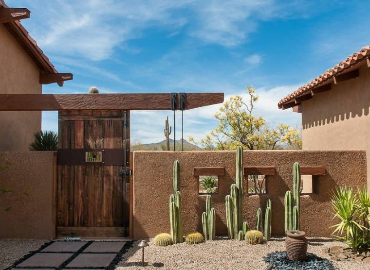 Piante grasse per la manutenzione del giardino di cactus