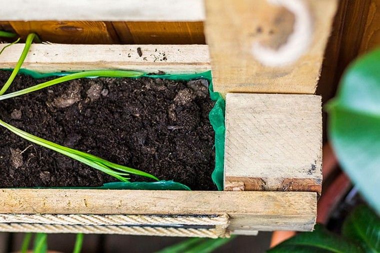 giardinaggio-casa-idea-regalo-di-natale