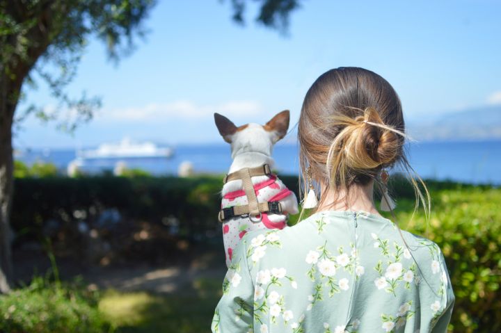 netvarkingos bandelės madingos idėjos