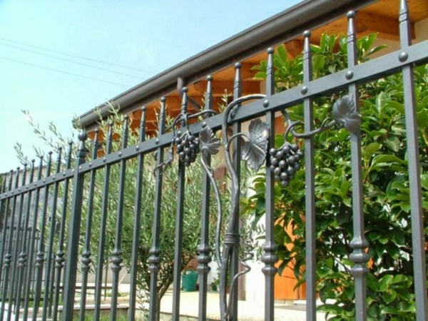 錬鉄製の庭の柵