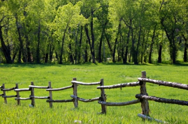 ラフな素朴な木製の柵