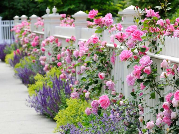 graziosi fiori decorativi da giardino palizzate