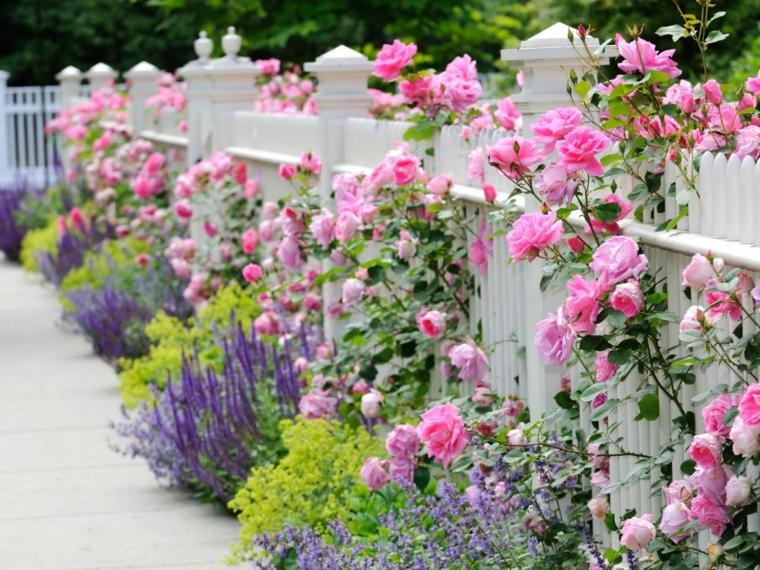 きれいな庭のデコの花の柵