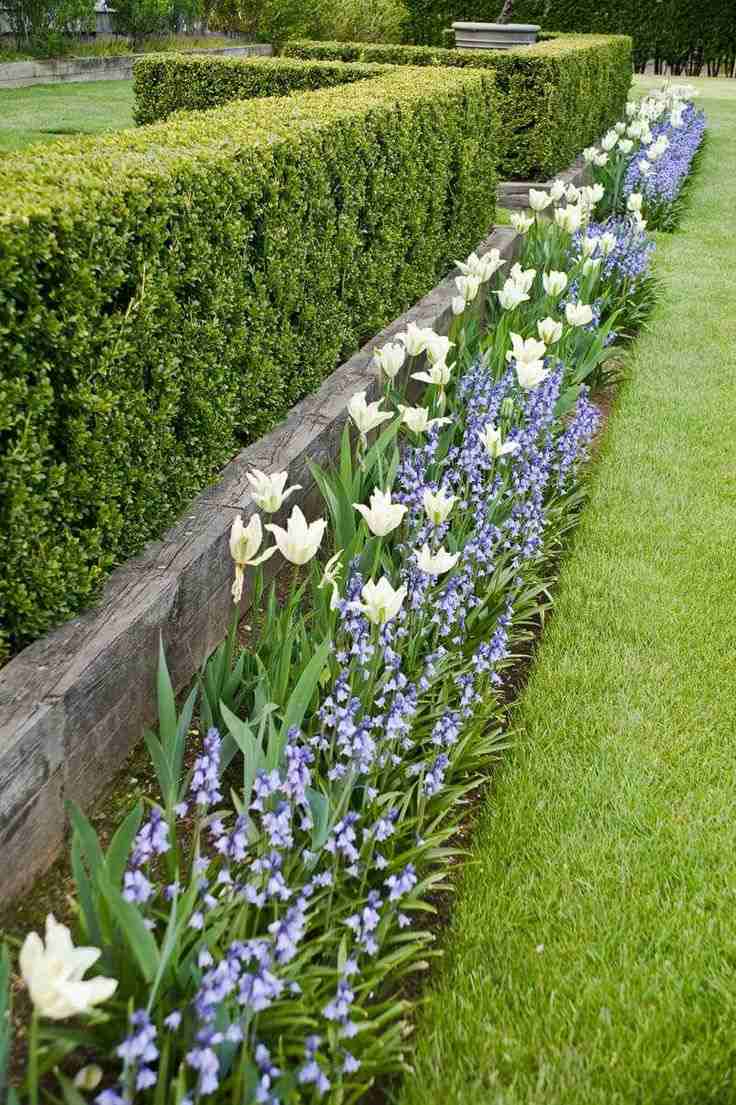 Vrt ideja za živicu biljka ograda za grm vrt
