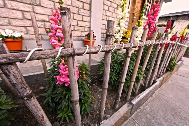 izvorna vrtna ograda ideja drvne grane vanjsko uređenje vrta zaštita cvijeća