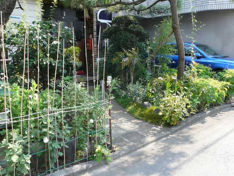 Vrtna ograda ideja diy separation povrtni flaster