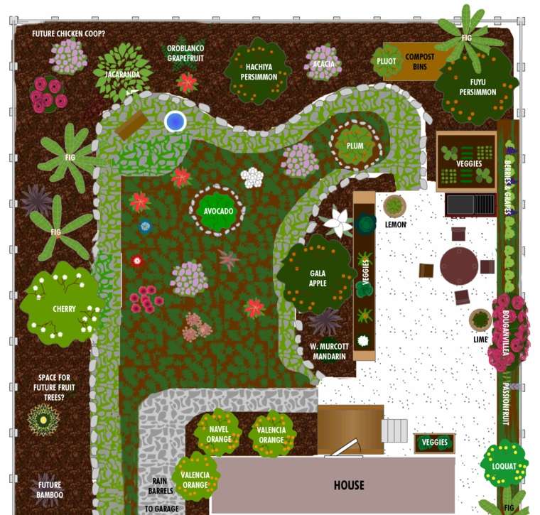 plan sadnje vrta crtež vegetacije