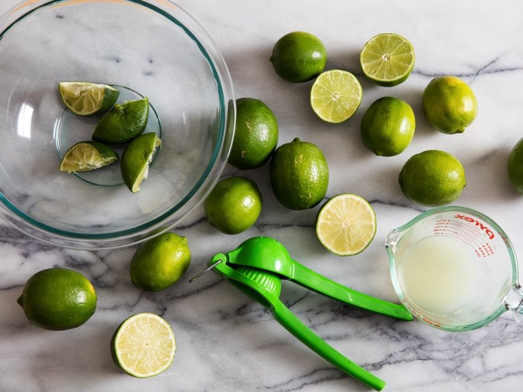 preparazione-per-la-casa-di-limeade