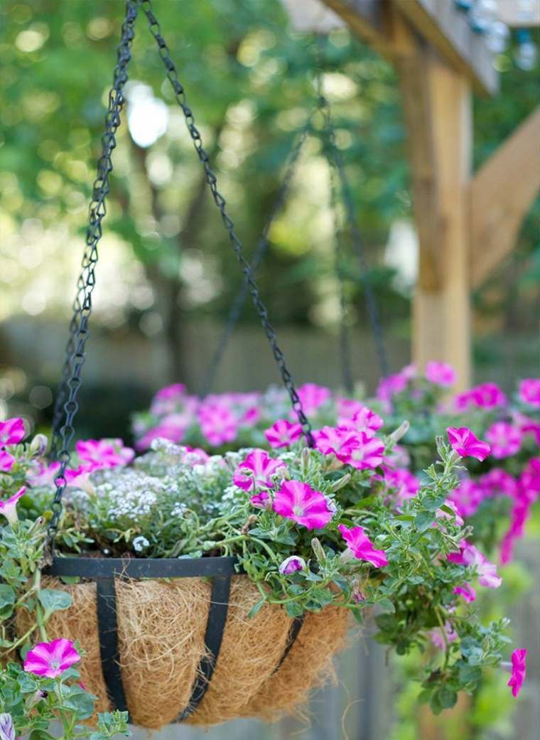 build-a-pergola-outdoor-decoration-flower-pot-hanging-basket