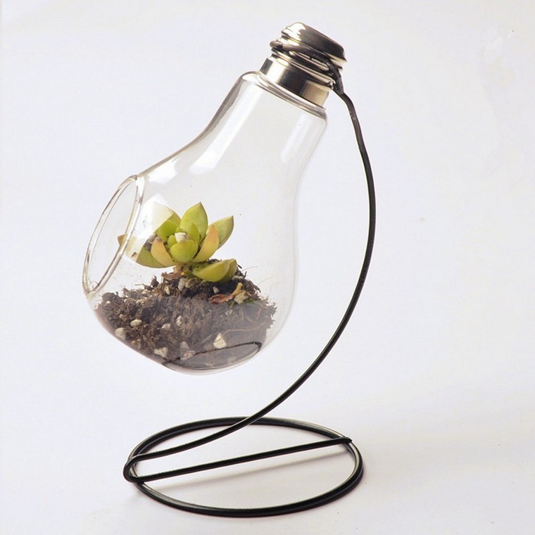 terariumo idėjos konteineris „pasidaryk pats“ stiklas sukuria mini sodą