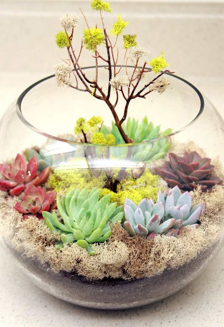 ideja o sočnoj biljci od terarija stvoriti mini vrtnu dekorativnu ideju