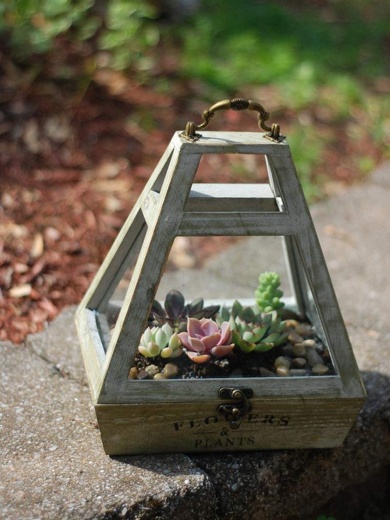 kako stvoriti mini zatvoreni minijaturni vrtni terarij