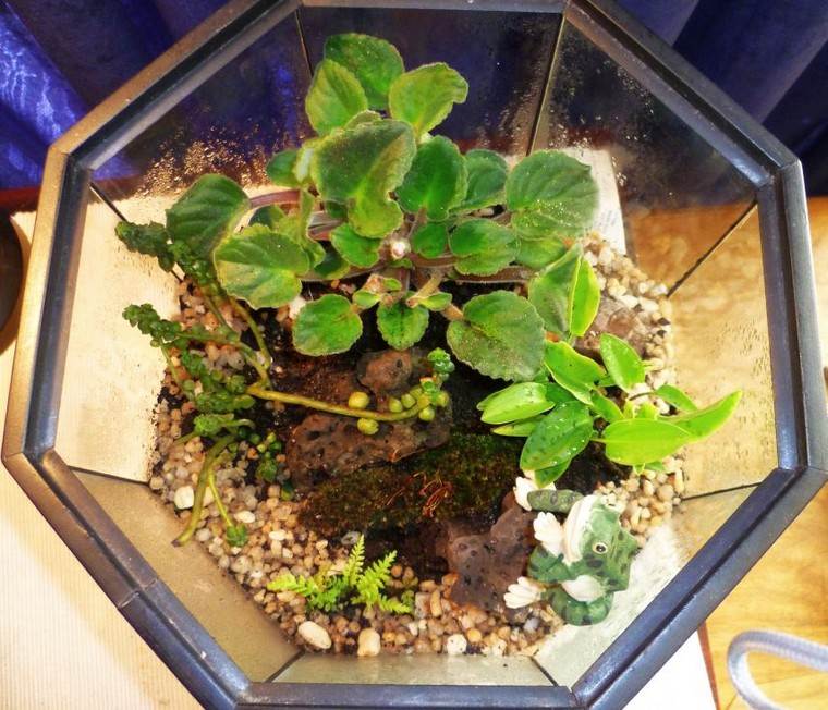 deco terrárium növény ötlet diy kavics miniatűr kert belső barkácsolás
