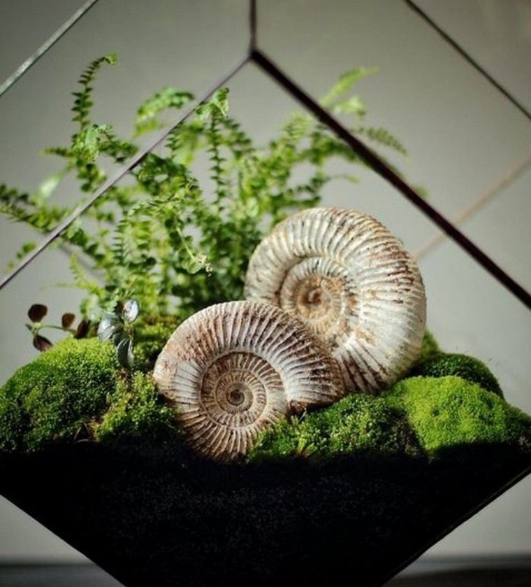 terrárium deco ötlet shell diy mini miniatűr kert